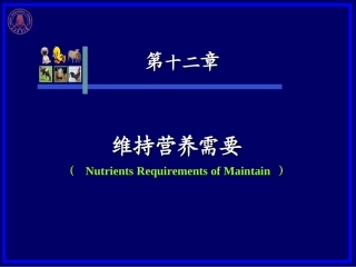 第十二章  维持营养需要