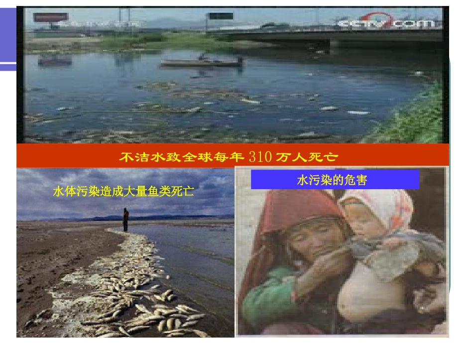 第十五章 农业可持续发展_第3页