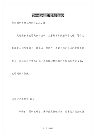 2024六年级见闻作文_2