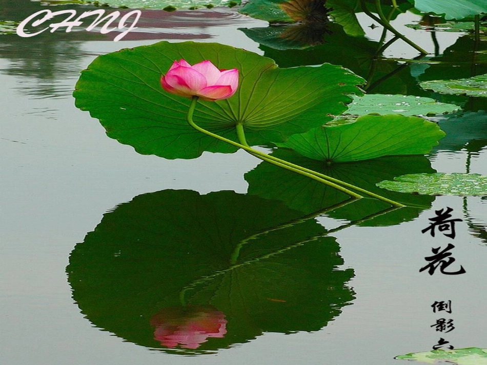 倒数----周春妮_第2页