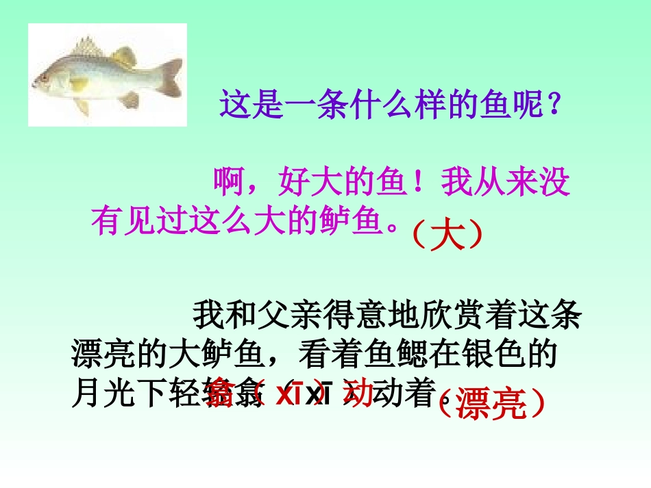 《13钓鱼的启示》课件1（人教版五年级上册）_第2页