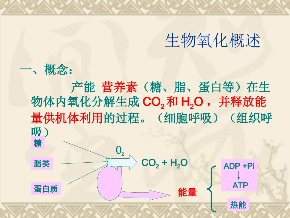 第六章 生物氧化_第2页