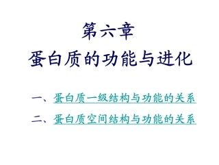 第六章 蛋白质的功能与进化