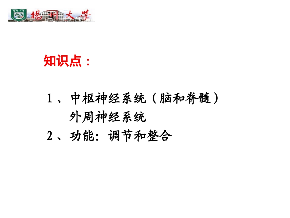 第六章  神经系统疾病_第2页