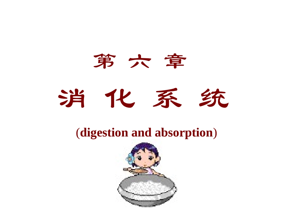 第六章  消化系统-张_第1页