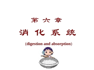 第六章  消化系统-张