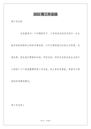 2024周工作总结_5