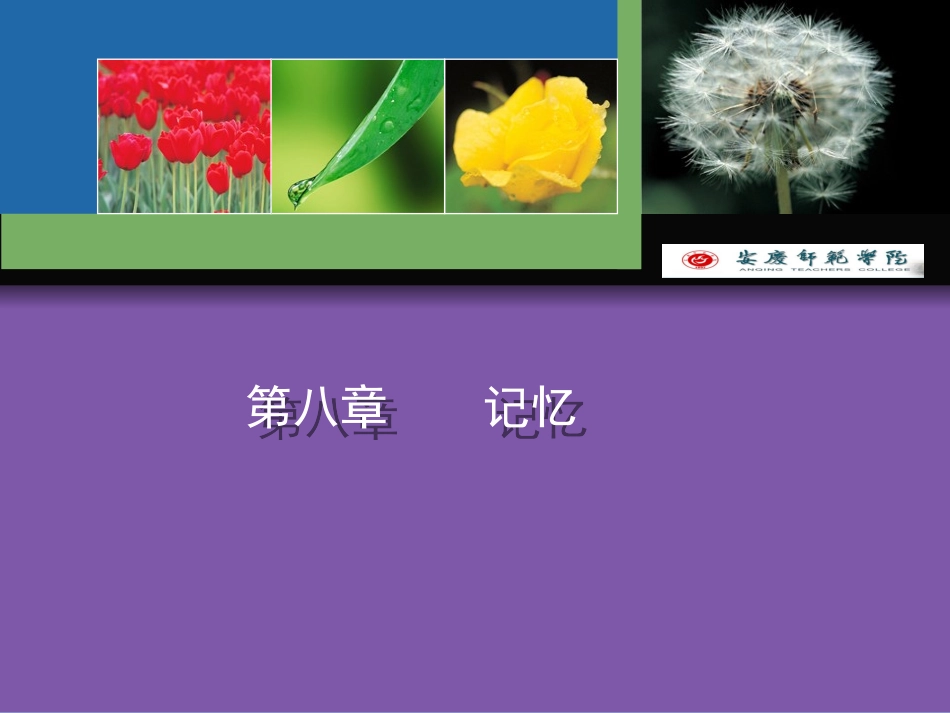第八章 记忆 课件_第1页