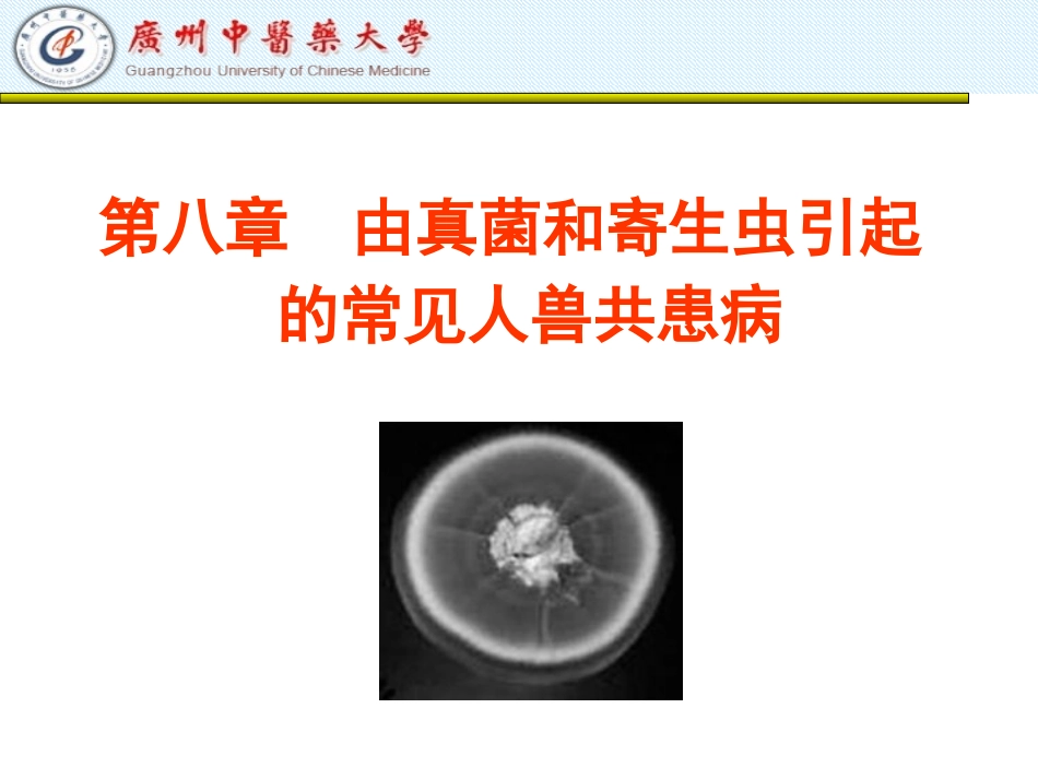 第八章由真菌和寄生虫引起的常见人兽共患病_第1页