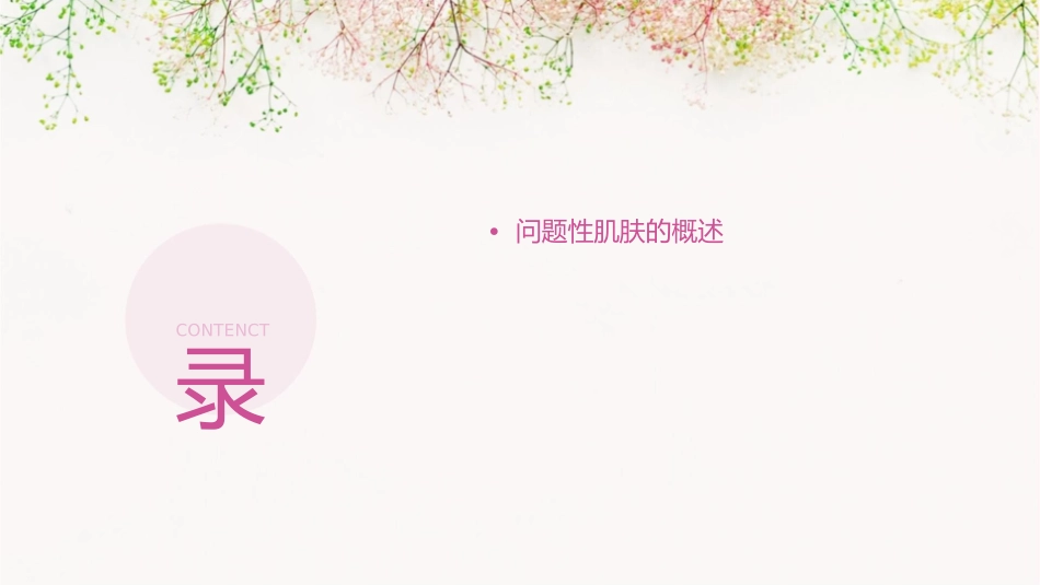问题性肌肤的剖析课件_第2页