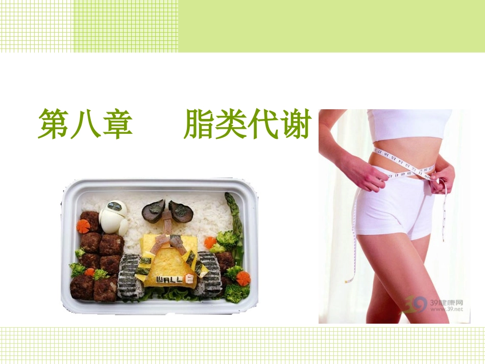 第八章 脂类代谢 - 副本_第1页