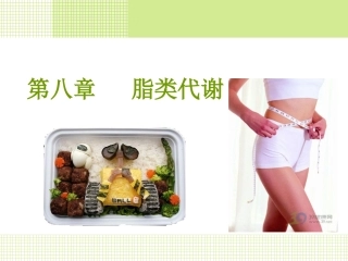第八章 脂类代谢 - 副本