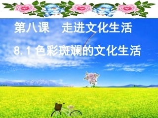 色彩斑斓的文化生活修改版