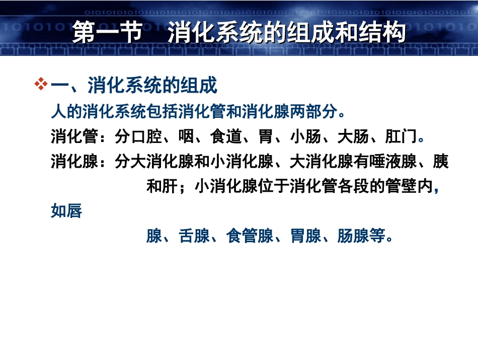 第八章 消化系统_第2页