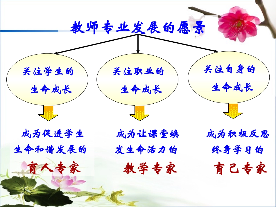 生物教学案例研讨_第3页