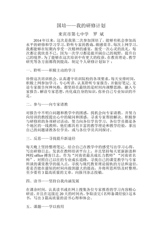 个人国培学习计划罗斌