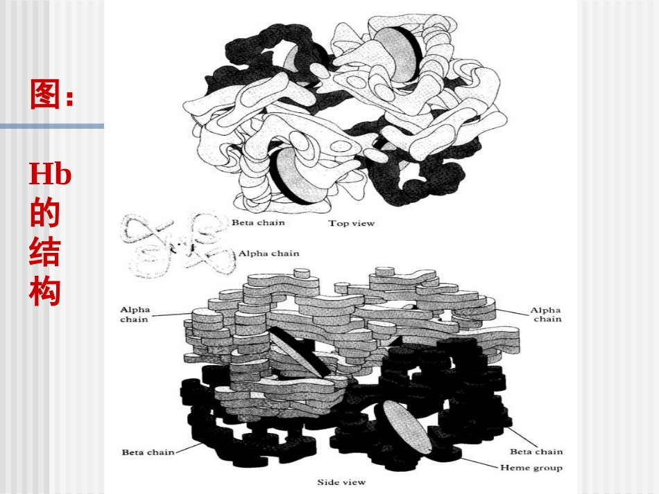 第八章 生化遗传学_第3页