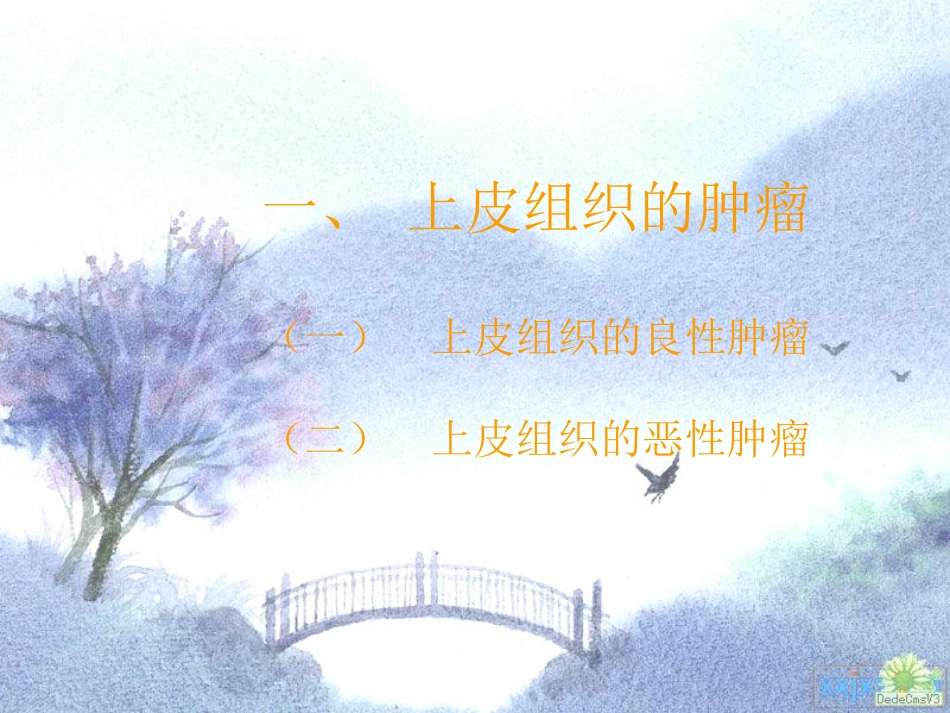 第五节   动物常见的肿瘤——上皮组织的良性肿瘤_第2页