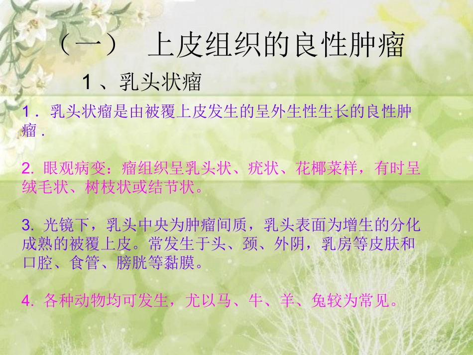 第五节   动物常见的肿瘤——上皮组织的良性肿瘤_第3页