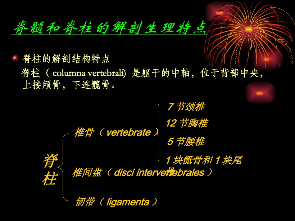 第五章脊髓损伤_第3页