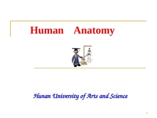 第五篇 sensory organs