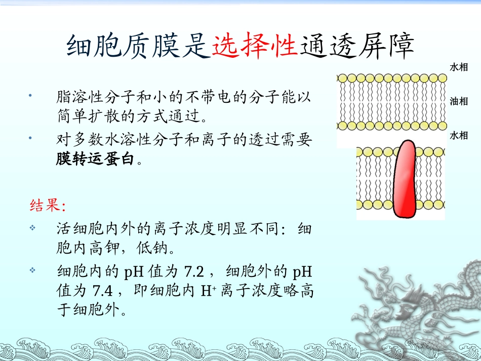 第五章 跨膜转运_第2页