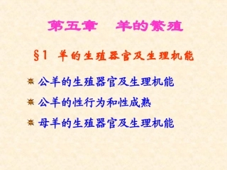 第五章 羊的繁殖