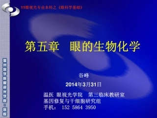 第五章 眼的生物化学 11眼本
