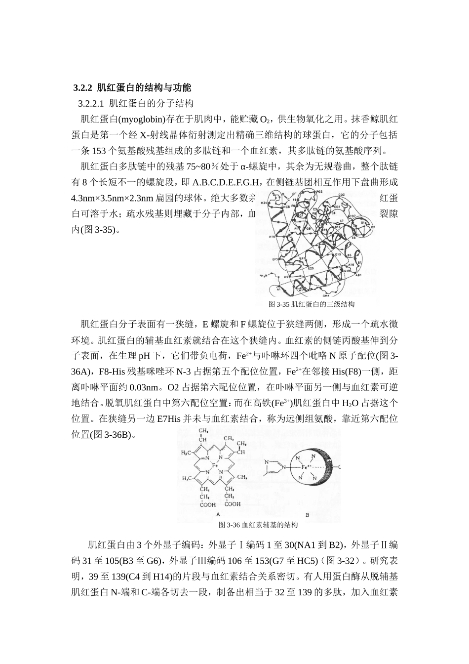 第二节蛋白质结构与功能的关系_第3页