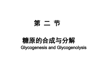第二节 糖原的合成与分解