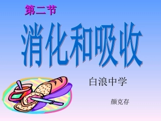 第二节---消化和吸收