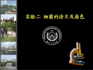 第二节 细菌涂片制备及染色