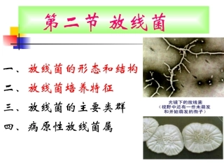 第二节  放线菌