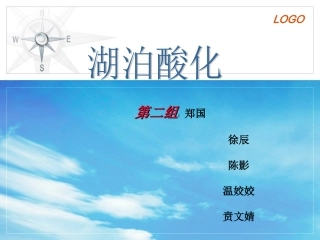 第二组湖泊酸化