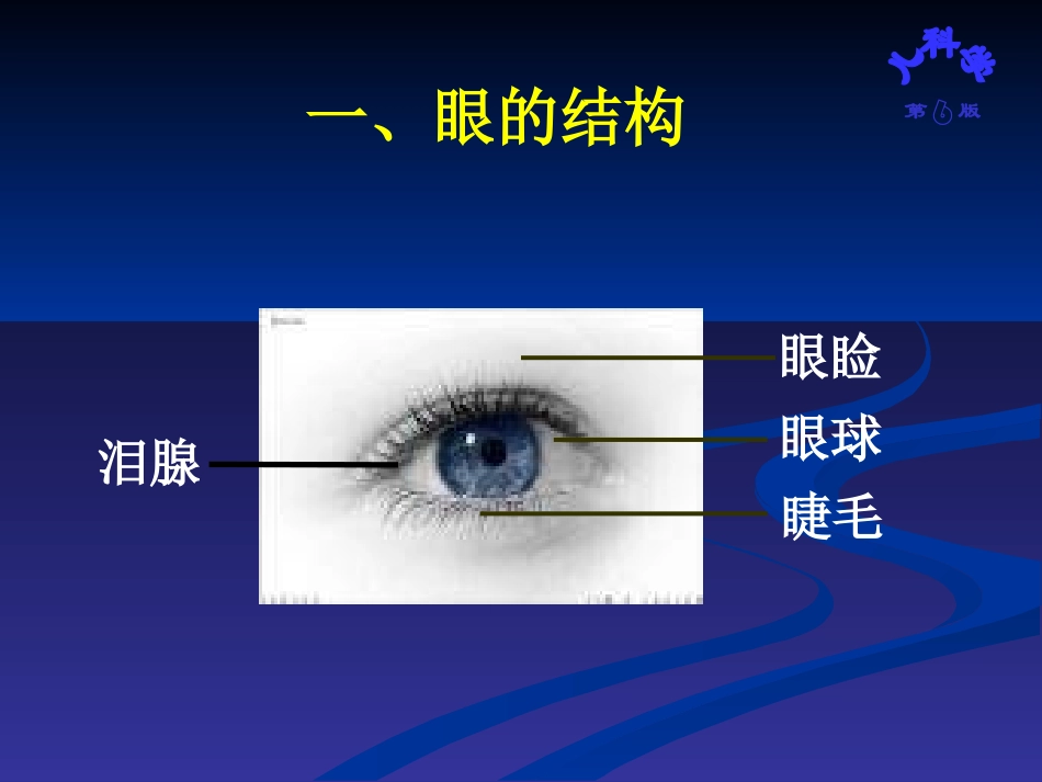 第二章-老年人各系统的老化改变(缺神经系统完)_第3页