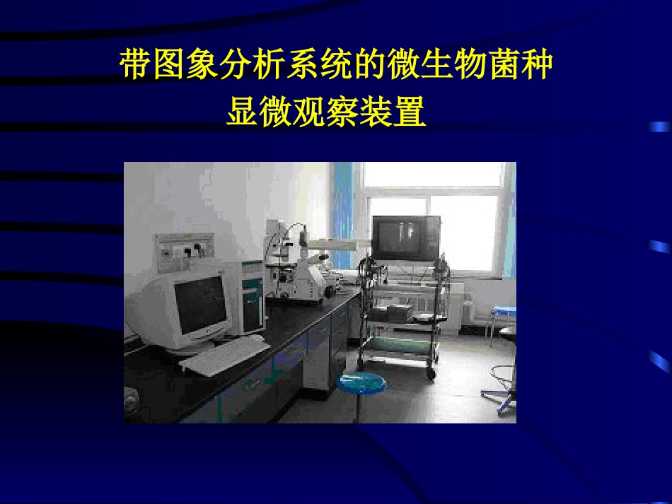 第二章_发酵菌种选育_第2页