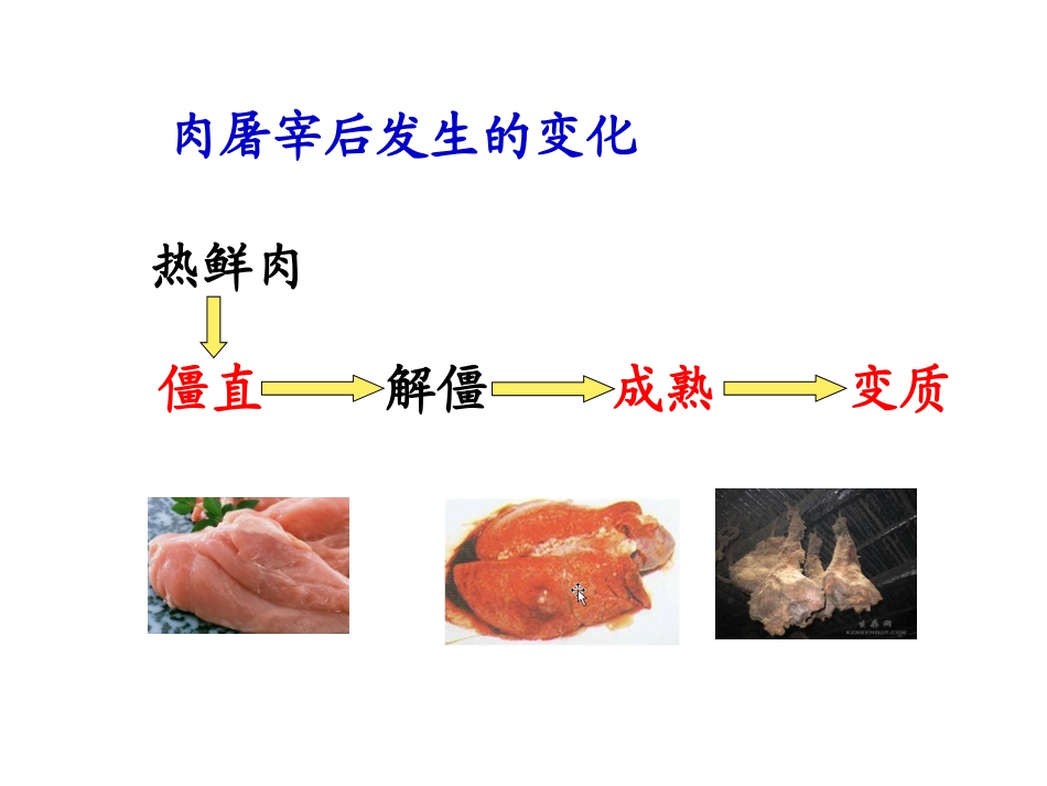 第二章(宰后肉的变化)_第3页