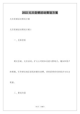 2024元旦促销活动策划方案_5