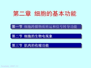 第二章 细胞的基本功能-2