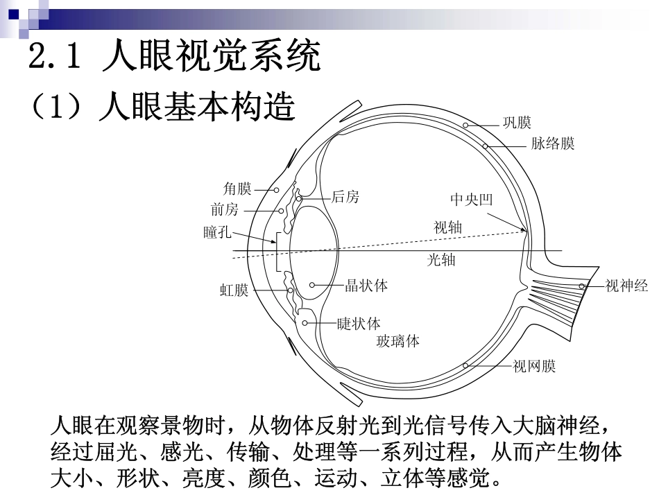 第二章 数字图像处理基础_第3页