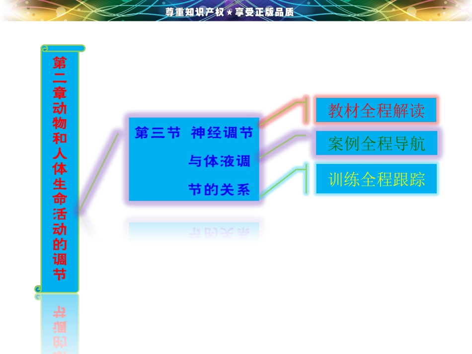 第二章  第三节  神经调节与体液调节的关系_第2页