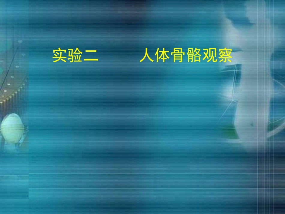 第二次实验 人体骨骼观察201203_第1页
