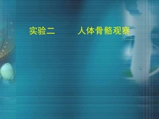 第二次实验 人体骨骼观察201203