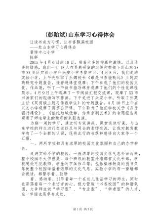 (彭贻斌)山东学习心得体会
