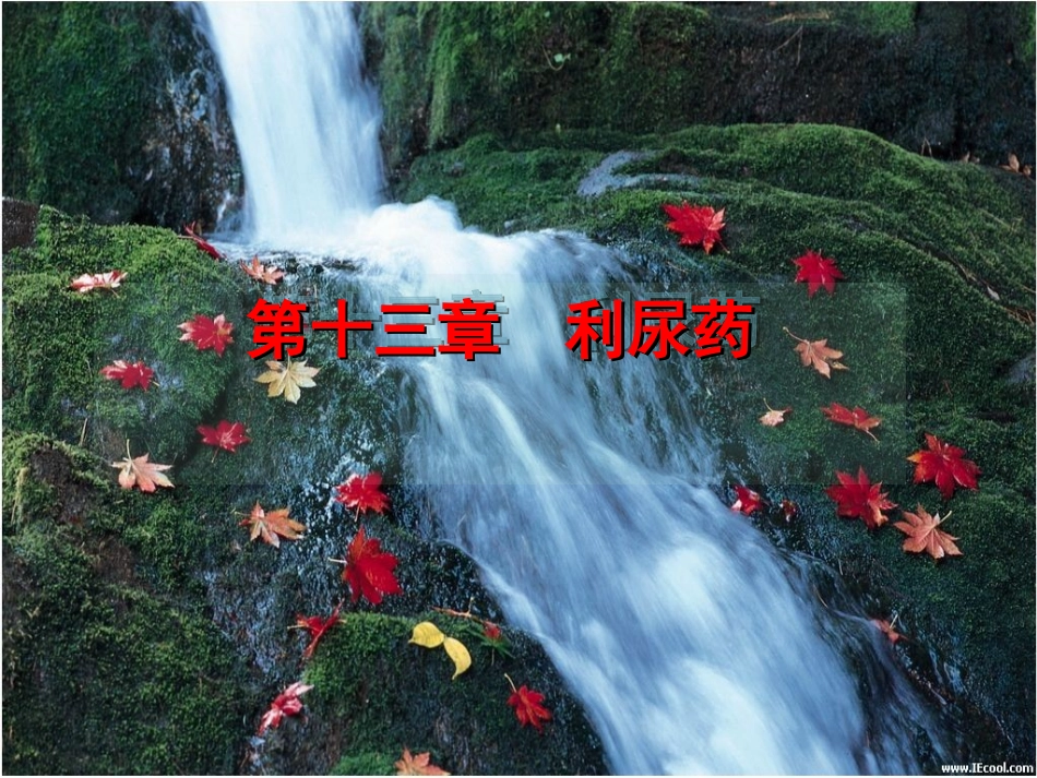 第二十二章 w-利尿药与脱水药_第1页