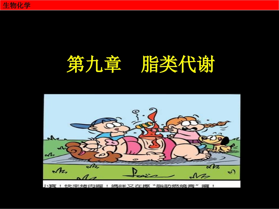 第九章 脂类代谢_第2页