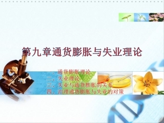 第九章+失业通胀