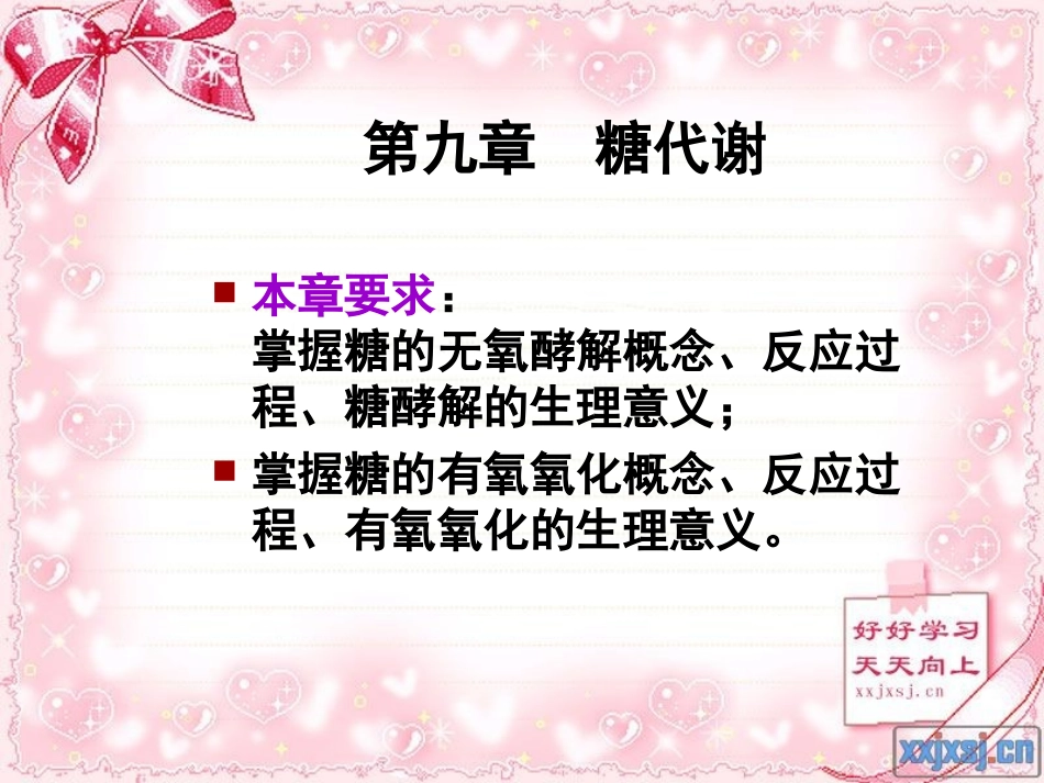 第九章 糖代谢_第2页