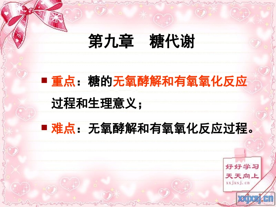 第九章 糖代谢_第3页