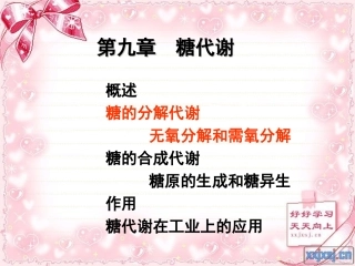 第九章 糖代谢